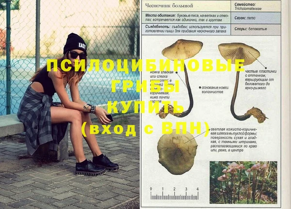 хмурый Балахна